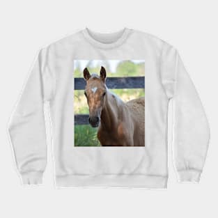 Palomino colt Crewneck Sweatshirt